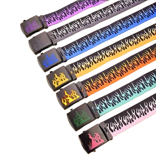 WhatsApp Image 2025-03-25 at 17.57.59_04eddf14 1pc Ben Davis Flame Belt